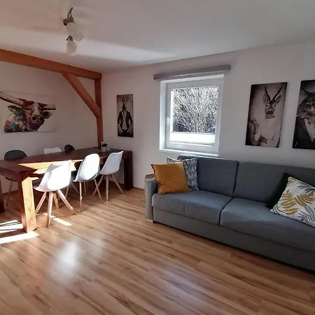 Apartmán In Dienten Near Gabuehel Lift, Cleaning Included